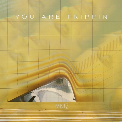 Mintz - You Are Trippin [197544766582]